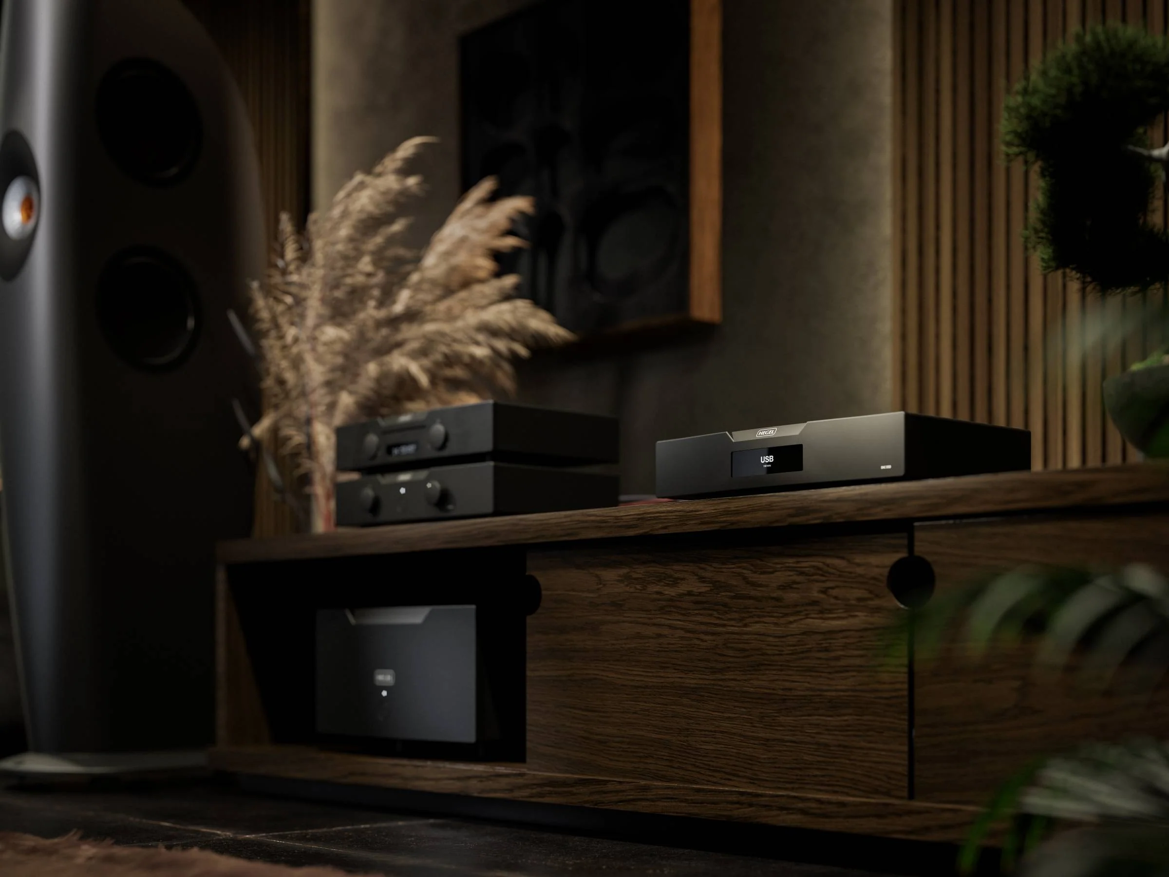 Hegel D50 DAC - Image 10