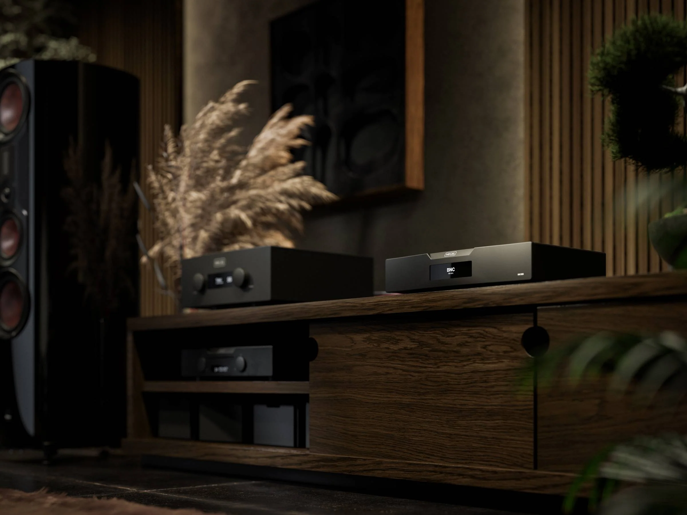 Hegel D50 DAC - Image 9